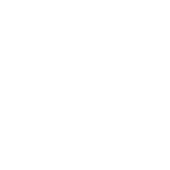 已有超过 200 名学生在导师的带领下完成了个性化科研项目