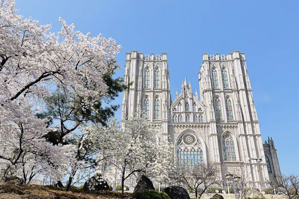 伯明翰大学申诉辅导