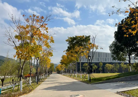 墨尔本大学挂科申诉