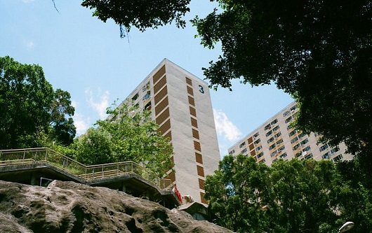 西交利物浦大学商业分析辅导