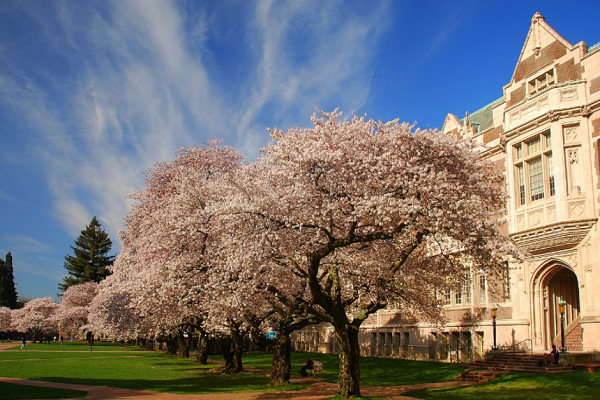 新加坡国立大学课程补习