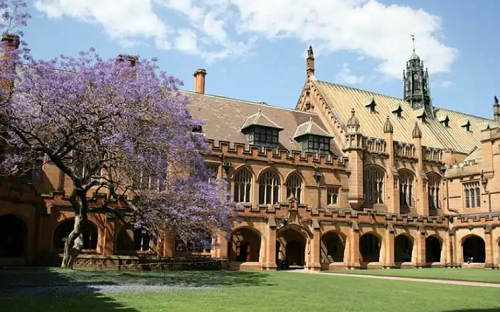 格罗宁根大学英文文学辅导
