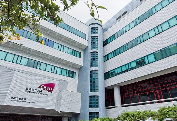 香港城市大学法学课程