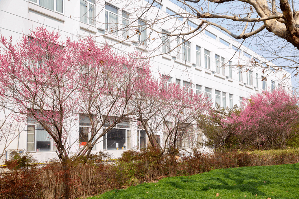 奥克兰大学会计学辅导