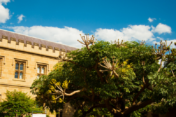 奥塔哥大学货币经济学课程