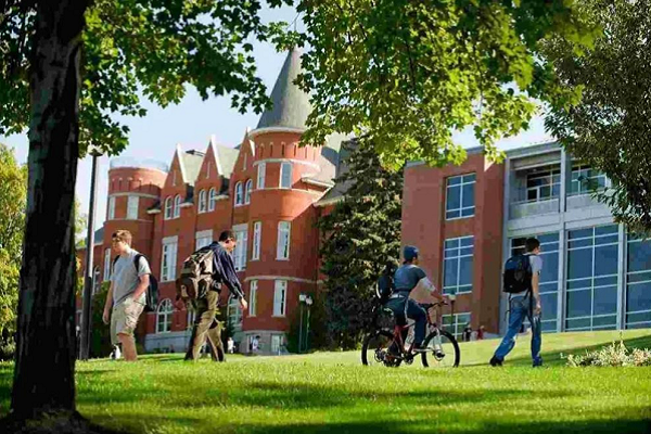 坎特伯雷大学会计学Accounting本科课程辅导补习