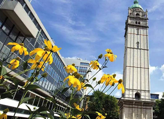 香港本科心理学论文辅导