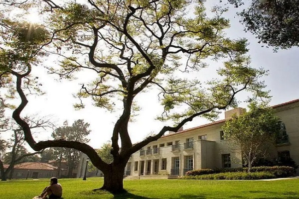 悉尼大学考试辅导哪家机构值得选择？