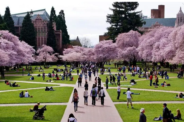 田纳西大学课程辅导