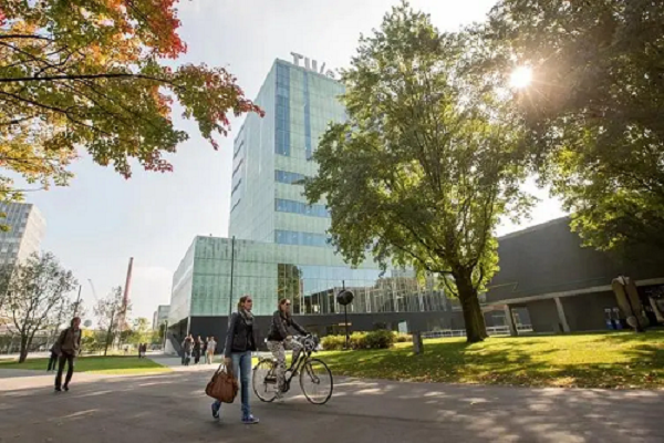 澳洲大学留学生论文辅导