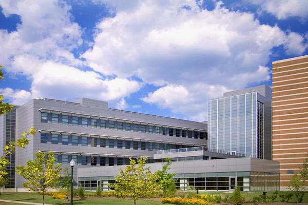 美国康涅狄格大学教育学本科课程辅导