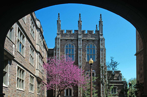 诺丁汉大学免疫学辅导