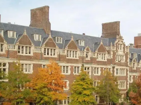 雪城大学硕士论文辅导