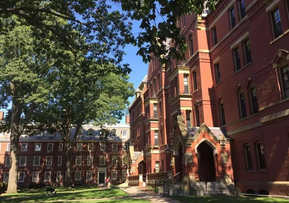 悉尼大学商科辅导