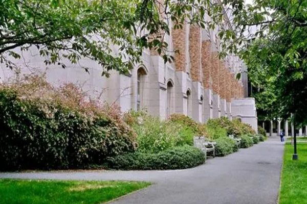 曼彻斯特大学人工智能本科考试辅导