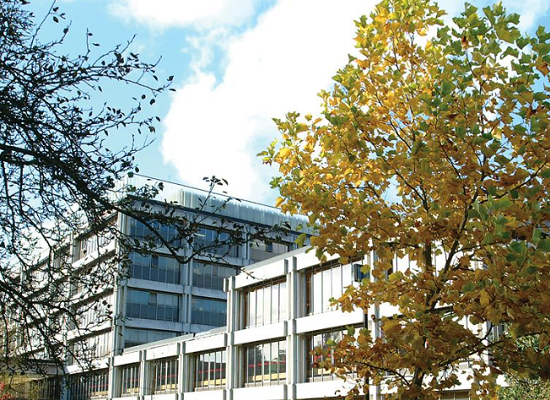 伦敦大学学院会计和金融辅导