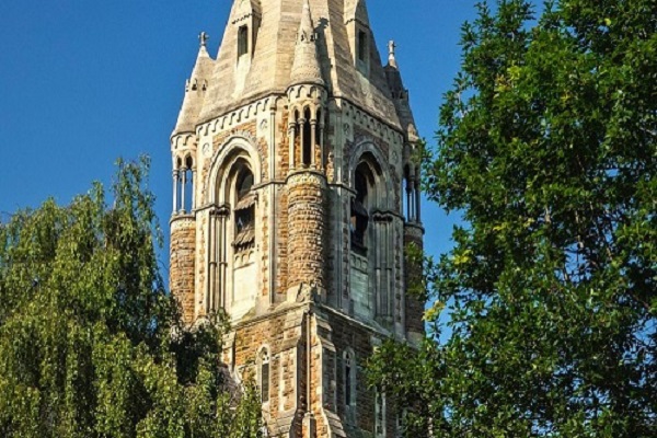 英国动物营养学辅导