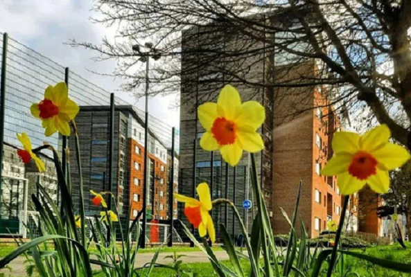 英国政治经济学辅导