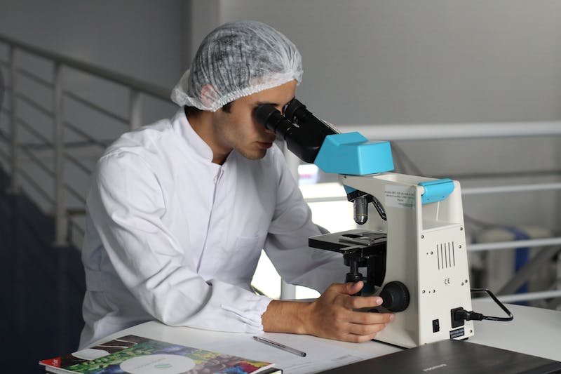 新西兰留学生补考的小组项目怎么写？