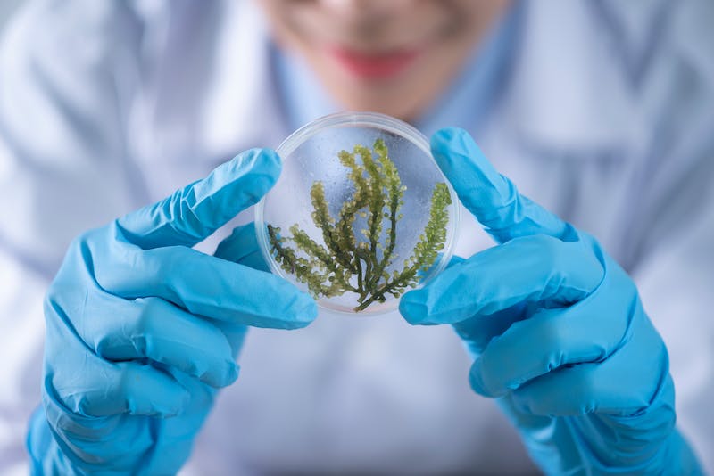 新加坡留学生挂科申诉雷区有哪些？