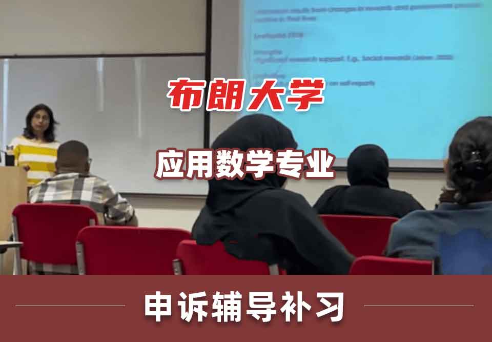 布朗大学Brown应用数学申诉辅导补习补课