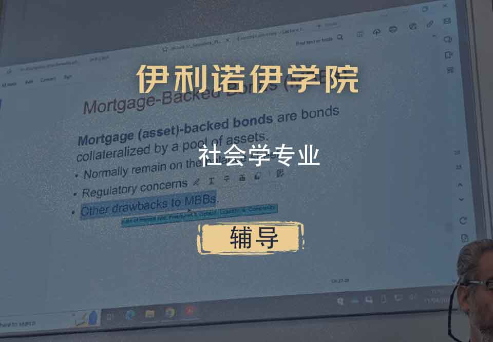 伊利诺伊学院UI社会学辅导