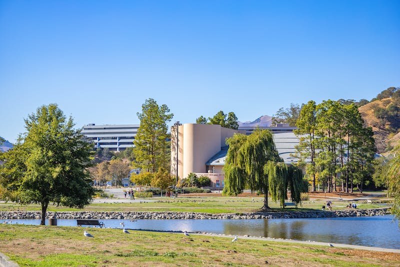 布里斯托大学留学生作弊申诉理由有哪些？