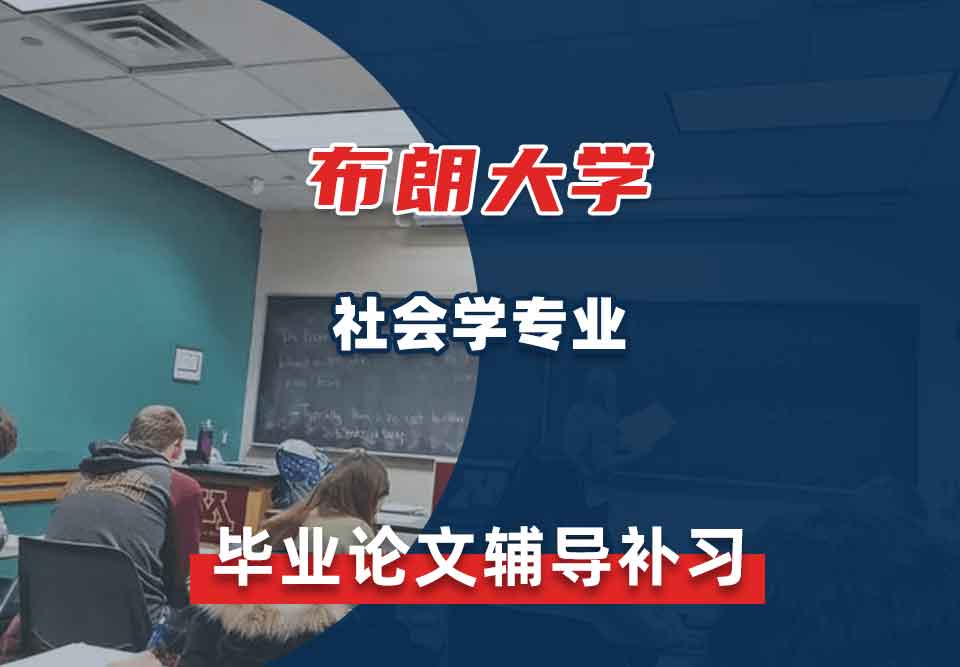 布朗大学Brown社会学毕业论文辅导补习补课