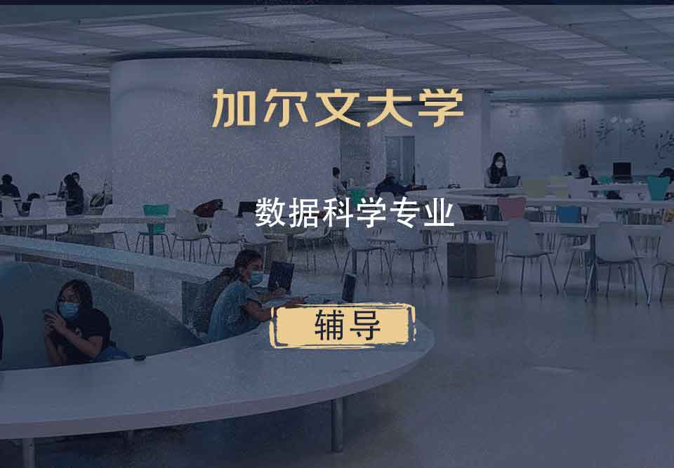 加尔文大学数据科学辅导