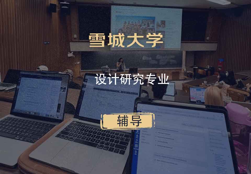 雪城大学SU设计研究辅导
