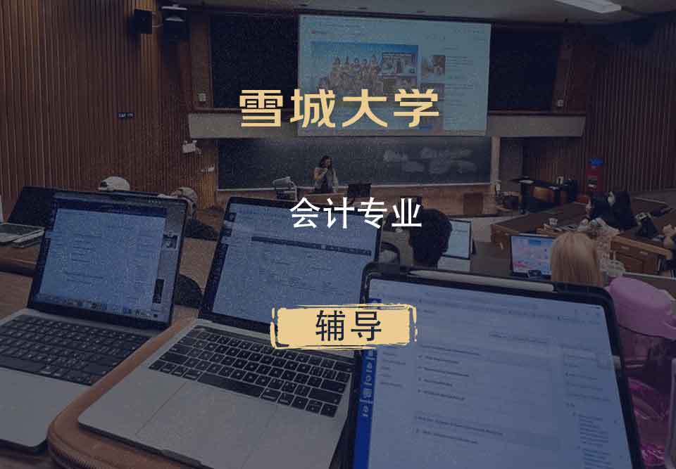雪城大学SU会计辅导