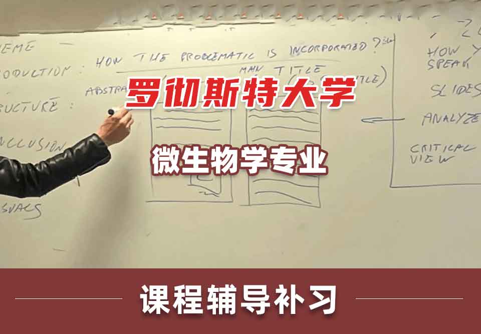 罗彻斯特大学UofR微生物学课程辅导补习补课