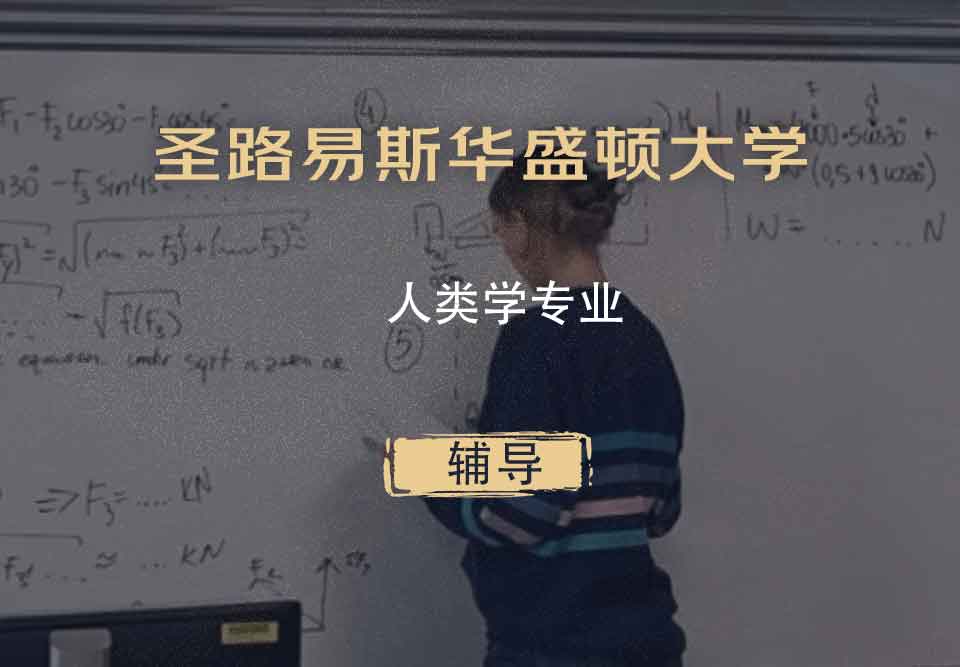 圣路易斯华盛顿大学WUSTL人类学辅导