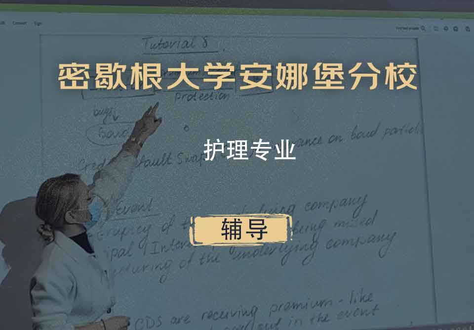 密歇根大学安娜堡分校UMich护理辅导