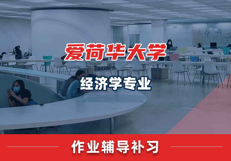 爱荷华大学U-Iowa经济学作业辅导补习补课