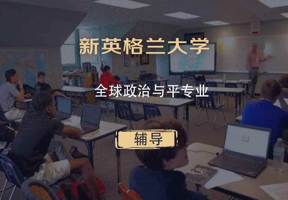 新英格兰大学UNE全球政治与平辅导