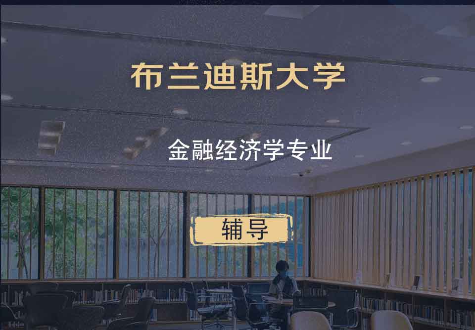 布兰迪斯大学Brandeis金融经济学辅导